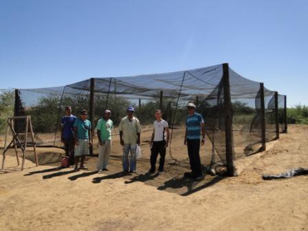 Associação de Evangélicos cria viveiro em Lagoa Grande